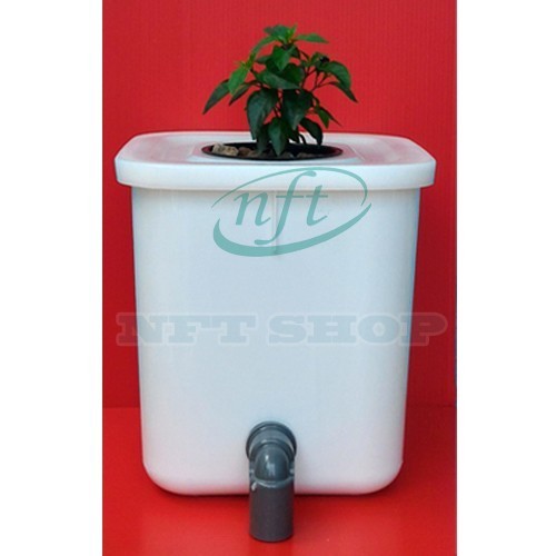 Single Kit Dutch Bucket